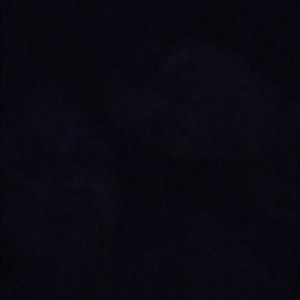 Meet your Posher, Karina